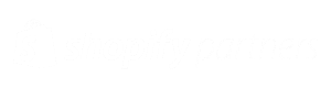 Shopify Partner